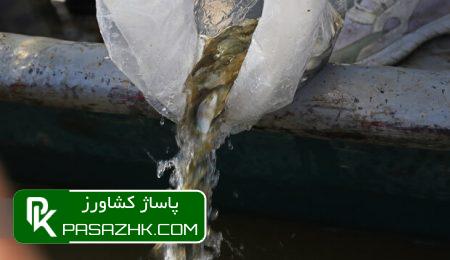 رهاسازی ۸ میلیون قطعه بچه ماهی در منابع آبی داخلی خوزستان 10 d8b1d987d8a7d8b3d8a7d8b2db8c dbb8 d985db8cd984db8cd988d986 d982d8b7d8b9d987 d8a8da86d987 d985d8a7d987db8c d8afd8b1 d985d986d8a7d8a8d8b9 666694da879e3, رهاسازی ۸ میلیون قطعه بچه ماهی در منابع آبی داخلی خوزستان, پاساژ کشاورز | بازار بزرگ کشاورزی در ایران, اخبار پاساژ کشاورز, ,