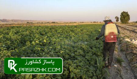 ریالی اعتبار به مراکز خدمات کشاورزی روستایی تخصیص داده نشده است 10 d8b1db8cd8a7d984db8c d8a7d8b9d8aad8a8d8a7d8b1 d8a8d987 d985d8b1d8a7daa9d8b2 d8aed8afd985d8a7d8aa daa9d8b4d8a7d988d8b1d8b2db8c d8b1d988 6677d44411a40, ریالی اعتبار به مراکز خدمات کشاورزی روستایی تخصیص داده نشده است, پاساژ کشاورز | بازار بزرگ کشاورزی در ایران, اخبار پاساژ کشاورز, ,