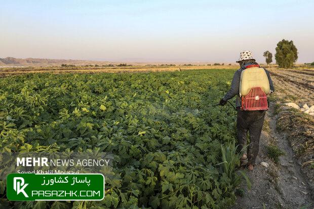 ریالی اعتبار به مراکز خدمات کشاورزی روستایی تخصیص داده نشده است 1 d8b1db8cd8a7d984db8c d8a7d8b9d8aad8a8d8a7d8b1 d8a8d987 d985d8b1d8a7daa9d8b2 d8aed8afd985d8a7d8aa daa9d8b4d8a7d988d8b1d8b2db8c d8b1d988 6677d44411a40, ریالی اعتبار به مراکز خدمات کشاورزی روستایی تخصیص داده نشده است, پاساژ کشاورز | بازار بزرگ کشاورزی در ایران, اخبار پاساژ کشاورز, ,