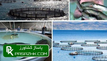 سهم ۱۷هزار میلیاردی تسهیلات درتامین پروتئین دریایی سبد غذایی مردم 10 d8b3d987d985 dbb1dbb7d987d8b2d8a7d8b1 d985db8cd984db8cd8a7d8b1d8afdb8c d8aad8b3d987db8cd984d8a7d8aa d8afd8b1d8aad8a7d985db8cd986 d9be 6672d49e3467b, سهم ۱۷هزار میلیاردی تسهیلات درتامین پروتئین دریایی سبد غذایی مردم, پاساژ کشاورز | بازار بزرگ کشاورزی در ایران, اخبار پاساژ کشاورز, ,