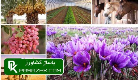 صادرات محصولات کشاورزی در بهار امسال ۲۸ درصد رشد کرد 2 d8b5d8a7d8afd8b1d8a7d8aa d985d8add8b5d988d984d8a7d8aa daa9d8b4d8a7d988d8b1d8b2db8c d8afd8b1 d8a8d987d8a7d8b1 d8a7d985d8b3d8a7d984 dbb2 667fcb988d00b, صادرات محصولات کشاورزی در بهار امسال ۲۸ درصد رشد کرد, پاساژ کشاورز | بازار بزرگ کشاورزی در ایران, اخبار پاساژ کشاورز, ,