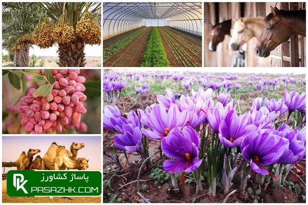 d8b5d8a7d8afd8b1d8a7d8aa d985d8add8b5d988d984d8a7d8aa daa9d8b4d8a7d988d8b1d8b2db8c d8afd8b1 d8a8d987d8a7d8b1 d8a7d985d8b3d8a7d984 dbb2 667fcb988d00b, صادرات محصولات کشاورزی در بهار امسال ۲۸ درصد رشد کرد, پاساژ کشاورز | بازار بزرگ کشاورزی در ایران, اخبار پاساژ کشاورز, ,
