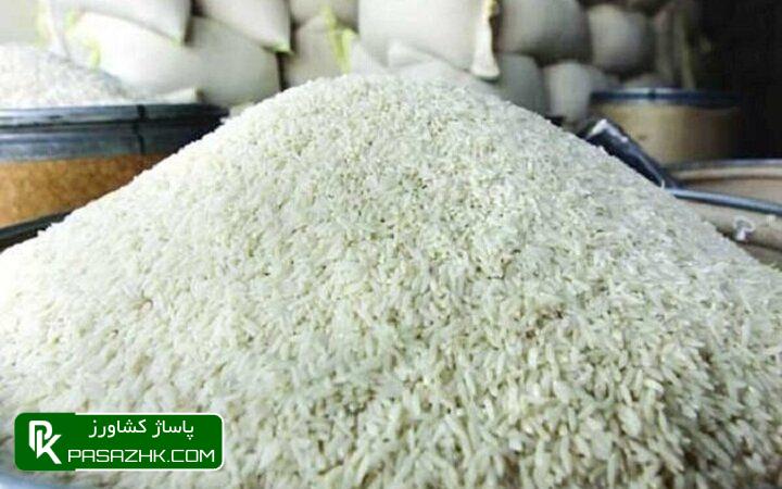 ضرورت بازنگری در سیاست های تامین بازار برنج 1 d8b6d8b1d988d8b1d8aa d8a8d8a7d8b2d986daafd8b1db8c d8afd8b1 d8b3db8cd8a7d8b3d8aa d987d8a7db8c d8aad8a7d985db8cd986 d8a8d8a7d8b2d8a7d8b1 667465d35185f, ضرورت بازنگری در سیاست های تامین بازار برنج, پاساژ کشاورز | بازار بزرگ کشاورزی در ایران, اخبار پاساژ کشاورز, ,