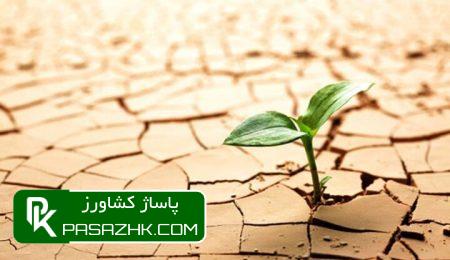 ضرورت مقابله با ۵میلیارد هکتار عرصه بیابانزایی در ۱۱۰ کشور 4 d8b6d8b1d988d8b1d8aa d985d982d8a7d8a8d984d987 d8a8d8a7 dbb5d985db8cd984db8cd8a7d8b1d8af d987daa9d8aad8a7d8b1 d8b9d8b1d8b5d987 d8a8db8c 667910e9ac108, ضرورت مقابله با ۵میلیارد هکتار عرصه بیابانزایی در ۱۱۰ کشور, پاساژ کشاورز | بازار بزرگ کشاورزی در ایران, اخبار پاساژ کشاورز, ,