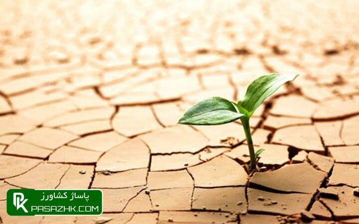 ضرورت مقابله با ۵میلیارد هکتار عرصه بیابانزایی در ۱۱۰ کشور 1 d8b6d8b1d988d8b1d8aa d985d982d8a7d8a8d984d987 d8a8d8a7 dbb5d985db8cd984db8cd8a7d8b1d8af d987daa9d8aad8a7d8b1 d8b9d8b1d8b5d987 d8a8db8c 667910e9ac108, ضرورت مقابله با ۵میلیارد هکتار عرصه بیابانزایی در ۱۱۰ کشور, پاساژ کشاورز | بازار بزرگ کشاورزی در ایران, اخبار پاساژ کشاورز, ,