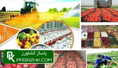 d8b8d8b1d981db8cd8aa d8aad988d984db8cd8af dbb9dbb0dbb0 d987d8b2d8a7d8b1 d8aad986 daafd988d8b4d8aa d982d8b1d985d8b2 d8afd8b1 daa9d8b4d988 666558a3ba1ff, ظرفیت تولید ۹۰۰ هزار تن گوشت قرمز در کشور وجود دارد, پاساژ کشاورز | بازار بزرگ کشاورزی در ایران, اخبار پاساژ کشاورز, ,