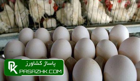 قیمت مرغ گوشتی در اردیبهشت ۳ درصد کاهش داشت 5 d982db8cd985d8aa d985d8b1d8ba daafd988d8b4d8aadb8c d8afd8b1 d8a7d8b1d8afdb8cd8a8d987d8b4d8aa dbb3 d8afd8b1d8b5d8af daa9d8a7d987d8b4 d8af 66769a5659bc9, قیمت مرغ گوشتی در اردیبهشت ۳ درصد کاهش داشت, پاساژ کشاورز | بازار بزرگ کشاورزی در ایران, اخبار پاساژ کشاورز, ,