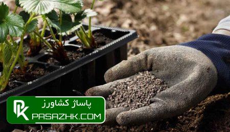 مصرف کودهای کشاورزی در ۳ سال گذشته ۳۶ درصد رشد کرد 8 d985d8b5d8b1d981 daa9d988d8afd987d8a7db8c daa9d8b4d8a7d988d8b1d8b2db8c d8afd8b1 dbb3 d8b3d8a7d984 daafd8b0d8b4d8aad987 dbb3dbb6 d8afd8b1 667177115360e, مصرف کودهای کشاورزی در ۳ سال گذشته ۳۶ درصد رشد کرد, پاساژ کشاورز | بازار بزرگ کشاورزی در ایران, اخبار پاساژ کشاورز, ,
