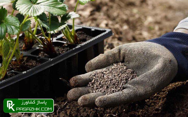 مصرف کودهای کشاورزی در ۳ سال گذشته ۳۶ درصد رشد کرد 1 d985d8b5d8b1d981 daa9d988d8afd987d8a7db8c daa9d8b4d8a7d988d8b1d8b2db8c d8afd8b1 dbb3 d8b3d8a7d984 daafd8b0d8b4d8aad987 dbb3dbb6 d8afd8b1 667177115360e, مصرف کودهای کشاورزی در ۳ سال گذشته ۳۶ درصد رشد کرد, پاساژ کشاورز | بازار بزرگ کشاورزی در ایران, اخبار پاساژ کشاورز, ,