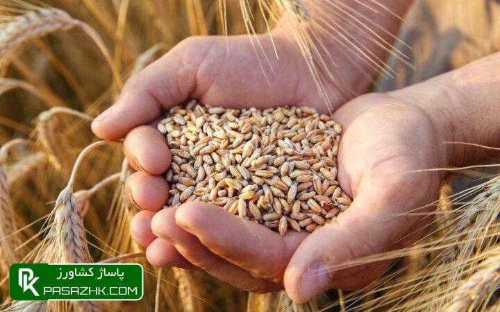 مطالبات گندمکاران تا چند روز آینده پرداخت میشود 1 d985d8b7d8a7d984d8a8d8a7d8aa daafd986d8afd985daa9d8a7d8b1d8a7d986 d8aad8a7 da86d986d8af d8b1d988d8b2 d8a2db8cd986d8afd987 d9bed8b1d8af 666019bb52d09, مطالبات گندمکاران تا چند روز آینده پرداخت میشود, پاساژ کشاورز | بازار بزرگ کشاورزی در ایران, اخبار پاساژ کشاورز, ,