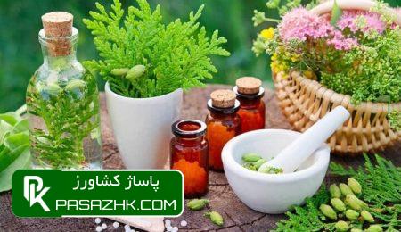 منشا رویش حداقل ۸۳ گونه زراعی و باغی در کشور شناسایی شد 6 d985d986d8b4d8a7 d8b1d988db8cd8b4 d8add8afd8a7d982d984 dbb8dbb3 daafd988d986d987 d8b2d8b1d8a7d8b9db8c d988 d8a8d8a7d8badb8c d8afd8b1 66780c8e51591, منشا رویش حداقل ۸۳ گونه زراعی و باغی در کشور شناسایی شد, پاساژ کشاورز | بازار بزرگ کشاورزی در ایران, اخبار پاساژ کشاورز, ,