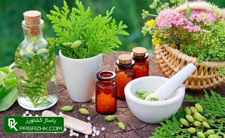 منشا رویش حداقل ۸۳ گونه زراعی و باغی در کشور شناسایی شد 1 d985d986d8b4d8a7 d8b1d988db8cd8b4 d8add8afd8a7d982d984 dbb8dbb3 daafd988d986d987 d8b2d8b1d8a7d8b9db8c d988 d8a8d8a7d8badb8c d8afd8b1 66780c8e51591, منشا رویش حداقل ۸۳ گونه زراعی و باغی در کشور شناسایی شد, پاساژ کشاورز | بازار بزرگ کشاورزی در ایران, اخبار پاساژ کشاورز, ,