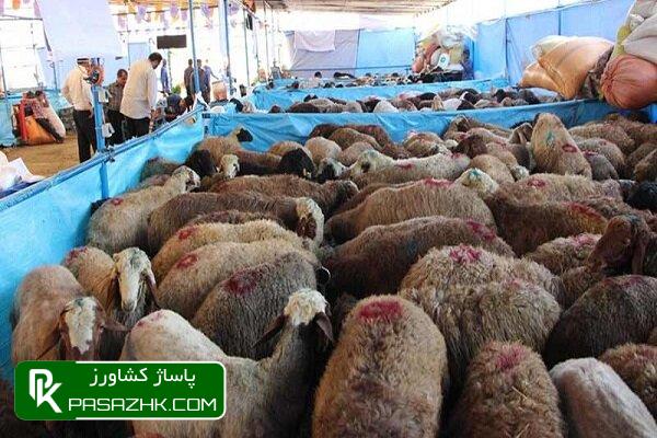 هر کیلوگرم دام سبک ۳۱۰ تا ۳۲۰هزارتومان/کمبودی در بازار وجود ندارد 1 d987d8b1 daa9db8cd984d988daafd8b1d985 d8afd8a7d985 d8b3d8a8daa9 dbb3dbb1dbb0 d8aad8a7 dbb3dbb2dbb0d987d8b2d8a7d8b1d8aad988d985d8a7d986 666e85f249fd4, هر کیلوگرم دام سبک ۳۱۰ تا ۳۲۰هزارتومان/کمبودی در بازار وجود ندارد, پاساژ کشاورز | بازار بزرگ کشاورزی در ایران, اخبار پاساژ کشاورز, ,