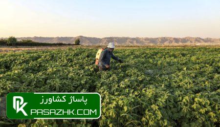 واگذاری زمین برای اجرای طرحهای کشاورزی باید تسهیل شود 6 d988d8a7daafd8b0d8a7d8b1db8c d8b2d985db8cd986 d8a8d8b1d8a7db8c d8a7d8acd8b1d8a7db8c d8b7d8b1d8add987d8a7db8c daa9d8b4d8a7d988d8b1 66769a5fb532a, واگذاری زمین برای اجرای طرحهای کشاورزی باید تسهیل شود, پاساژ کشاورز | بازار بزرگ کشاورزی در ایران, اخبار پاساژ کشاورز, ,