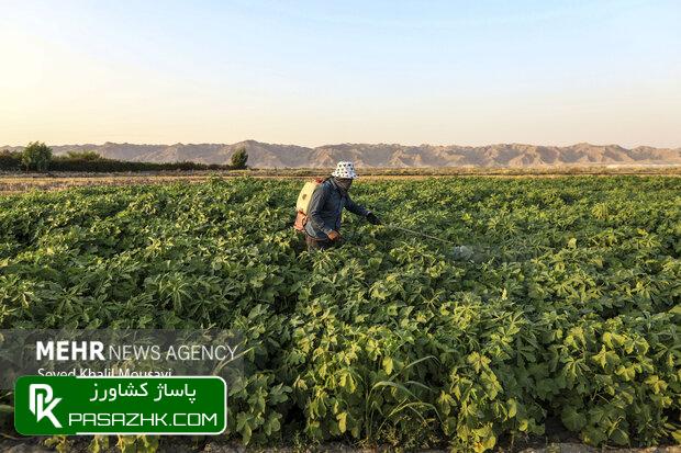 واگذاری زمین برای اجرای طرحهای کشاورزی باید تسهیل شود 1 d988d8a7daafd8b0d8a7d8b1db8c d8b2d985db8cd986 d8a8d8b1d8a7db8c d8a7d8acd8b1d8a7db8c d8b7d8b1d8add987d8a7db8c daa9d8b4d8a7d988d8b1 66769a5fb532a, واگذاری زمین برای اجرای طرحهای کشاورزی باید تسهیل شود, پاساژ کشاورز | بازار بزرگ کشاورزی در ایران, اخبار پاساژ کشاورز, ,