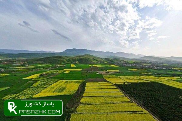 پروانه کسب کشاورزی سه روزه صادر میشود 1 d9bed8b1d988d8a7d986d987 daa9d8b3d8a8 daa9d8b4d8a7d988d8b1d8b2db8c d8b3d987 d8b1d988d8b2d987 d8b5d8a7d8afd8b1 d985db8cd8b4d988 6666bf050f568, پروانه کسب کشاورزی سه روزه صادر میشود, پاساژ کشاورز | بازار بزرگ کشاورزی در ایران, اخبار پاساژ کشاورز, ,