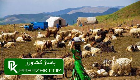 پیش بینی توزیع ۱۵۰ هزار تن جو مدت دار در جامعه عشایر 8 d9bedb8cd8b4 d8a8db8cd986db8c d8aad988d8b2db8cd8b9 dbb1dbb5dbb0 d987d8b2d8a7d8b1 d8aad986 d8acd988 d985d8afd8aa d8afd8a7d8b1 d8afd8b1 665b29829cd9e, پیش بینی توزیع ۱۵۰ هزار تن جو مدت دار در جامعه عشایر, پاساژ کشاورز | بازار بزرگ کشاورزی در ایران, اخبار پاساژ کشاورز, ,