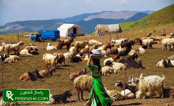 d9bedb8cd8b4 d8a8db8cd986db8c d8aad988d8b2db8cd8b9 dbb1dbb5dbb0 d987d8b2d8a7d8b1 d8aad986 d8acd988 d985d8afd8aa d8afd8a7d8b1 d8afd8b1 665b29829cd9e, پیش بینی توزیع ۱۵۰ هزار تن جو مدت دار در جامعه عشایر, پاساژ کشاورز | بازار بزرگ کشاورزی در ایران, اخبار پاساژ کشاورز, ,