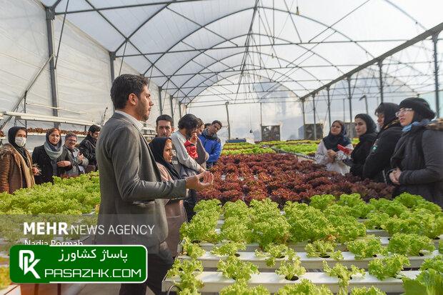 پیشبینی تولید ۲۰۰ هزار تن گوشت از دو نوع دام شتر و گاومیش 1 d9bedb8cd8b4d8a8db8cd986db8c d8aad988d984db8cd8af dbb2dbb0dbb0 d987d8b2d8a7d8b1 d8aad986 daafd988d8b4d8aa d8a7d8b2 d8afd988 d986 666558ad9de2d, پیشبینی تولید ۲۰۰ هزار تن گوشت از دو نوع دام شتر و گاومیش, پاساژ کشاورز | بازار بزرگ کشاورزی در ایران, اخبار پاساژ کشاورز, ,