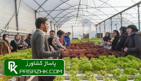 d9bedb8cd8b4d8a8db8cd986db8c d8aad988d984db8cd8af dbb2dbb0dbb0 d987d8b2d8a7d8b1 d8aad986 daafd988d8b4d8aa d8a7d8b2 d8afd988 d986 66657bb19dca1, پیش‌بینی تولید ۲۰۰ هزار تن گوشت از دو نوع دام شتر و گاومیش, پاساژ کشاورز | بازار بزرگ کشاورزی در ایران, اخبار پاساژ کشاورز, ,