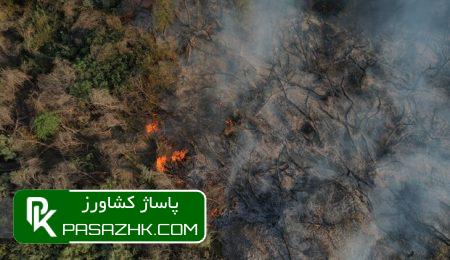 یک تفکر غلط سبب آتش سوزی در جنگل های پلدختر شد 9 db8cdaa9 d8aad981daa9d8b1 d8bad984d8b7 d8b3d8a8d8a8 d8a2d8aad8b4 d8b3d988d8b2db8c d8afd8b1 d8acd986daafd984 d987d8a7db8c d9bed984d8af 6677f064a8828, یک تفکر غلط سبب آتش سوزی در جنگل های پلدختر شد, پاساژ کشاورز | بازار بزرگ کشاورزی در ایران, اخبار پاساژ کشاورز, ,