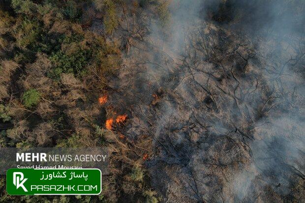یک تفکر غلط سبب آتش سوزی در جنگل های پلدختر شد 1 db8cdaa9 d8aad981daa9d8b1 d8bad984d8b7 d8b3d8a8d8a8 d8a2d8aad8b4 d8b3d988d8b2db8c d8afd8b1 d8acd986daafd984 d987d8a7db8c d9bed984d8af 6677f064a8828, یک تفکر غلط سبب آتش سوزی در جنگل های پلدختر شد, پاساژ کشاورز | بازار بزرگ کشاورزی در ایران, اخبار پاساژ کشاورز, ,