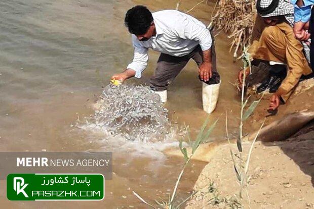 db8cdaa9 d985db8cd984db8cd988d986 d982d8b7d8b9d987 d8a8da86d987 d985d8a7d987db8c d8afd8b1 d8aad8a7d984d8a7d8a8 daa9d8a7d8b1d988d986 d8b1 6665d11276229, یک میلیون قطعه بچه ماهی در تالاب کارون رهاسازی شد, پاساژ کشاورز | بازار بزرگ کشاورزی در ایران, اخبار پاساژ کشاورز, ,