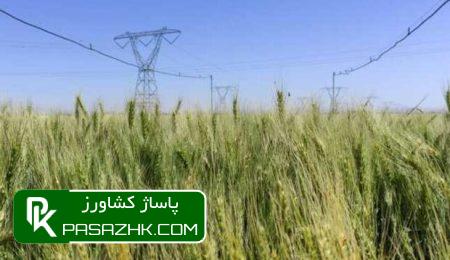 dbb2 d8b7d8b1d8ad d8b3d8a7d985d8a7d986d987 d8a2d8a8db8cd8a7d8b1db8c d8aad8add8aa d981d8b4d8a7d8b1 d8afd8b1 d8a8d8b3d8b7d8a7d985 d8a7d981 6670561fc7553, ۲ طرح سامانه آبیاری تحت فشار در بسطام افتتاح شد, پاساژ کشاورز | بازار بزرگ کشاورزی در ایران, اخبار پاساژ کشاورز, ,