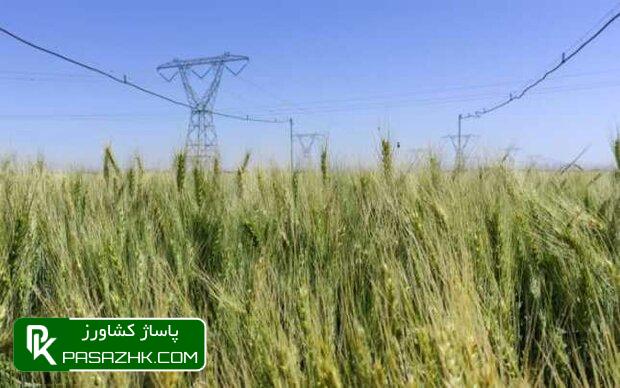 ۲ طرح سامانه آبیاری تحت فشار در بسطام افتتاح شد 1 dbb2 d8b7d8b1d8ad d8b3d8a7d985d8a7d986d987 d8a2d8a8db8cd8a7d8b1db8c d8aad8add8aa d981d8b4d8a7d8b1 d8afd8b1 d8a8d8b3d8b7d8a7d985 d8a7d981 6670561fc7553, ۲ طرح سامانه آبیاری تحت فشار در بسطام افتتاح شد, پاساژ کشاورز | بازار بزرگ کشاورزی در ایران, اخبار پاساژ کشاورز, ,