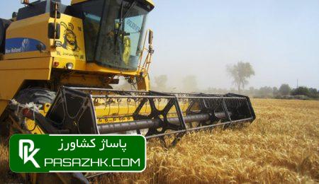 dbb3dbb1 d987d8b2d8a7d8b1 d987daa9d8aad8a7d8b1 d8a7d8b1d8a7d8b6db8c d8a7d8b3d8aad8a7d986 d8b3d985d986d8a7d986 d8aad8add8aa daa9d8b4d8aa 6663f262acd91, ۳۱ هزار هکتار اراضی استان سمنان تحت کشت گندم قرار دارد, پاساژ کشاورز | بازار بزرگ کشاورزی در ایران, اخبار پاساژ کشاورز, ,