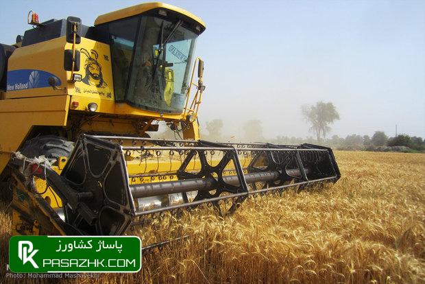 dbb3dbb1 d987d8b2d8a7d8b1 d987daa9d8aad8a7d8b1 d8a7d8b1d8a7d8b6db8c d8a7d8b3d8aad8a7d986 d8b3d985d986d8a7d986 d8aad8add8aa daa9d8b4d8aa 6663f262acd91, ۳۱ هزار هکتار اراضی استان سمنان تحت کشت گندم قرار دارد, پاساژ کشاورز | بازار بزرگ کشاورزی در ایران, اخبار پاساژ کشاورز, ,