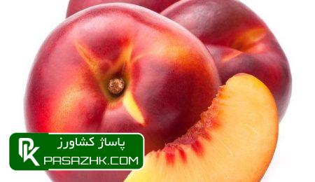 برنامه تغذیه و کوددهی شبرنگ, شناخت برنامه غذایی (برنامه کوددهی) مناسب برای گیاهان, توصیه های کودی و برنامه غذایی محصولات کشاورزی, پاساژ کشاورز, بازار بزرگ کشاورزی, مقالات کشاورزی, برنامه تغذیه گیاهان