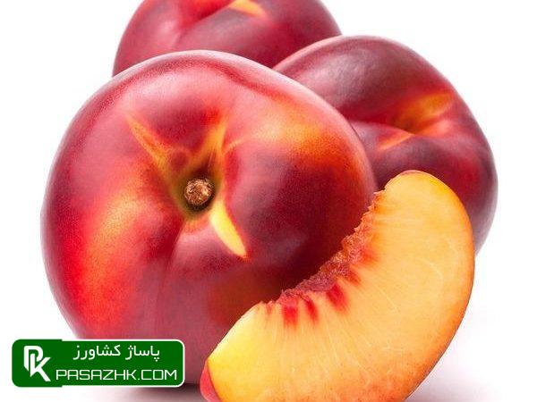 برنامه تغذیه و کوددهی شبرنگ, شناخت برنامه غذایی (برنامه کوددهی) مناسب برای گیاهان, توصیه های کودی و برنامه غذایی محصولات کشاورزی, پاساژ کشاورز, بازار بزرگ کشاورزی, مقالات کشاورزی, برنامه تغذیه گیاهان