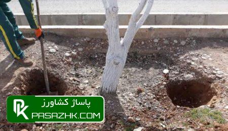 چالکود درختان میوه (کود مخصوص چالکود) 39 پاساژ کشاورز, پاساژ, کشاورز, بازار بزرگ کشاورزی, سایت نیازمندی کشاورزی, چالکود, چالکود چیست؟, چالکود درختان چیست, بهترین کود برای چالکود درختان + روش مصرف, زمان و روش چالکود درختان, همه چیز درباره روش و زمان مناسب چالکود درختان مختلف, آموزش اصول کامل چالکود درختان, صفر تا 100 چالکود اصولی در درختان میوه, مکان مناسب چالکود درختان و نحوه استفاده کودهای دامی, چالکود چیست ؟ زمان صحیح چالکود و نحوه صحیح چالکود, کود چالکود درخت میوه و مرکبات پالیز, همه چیز درباره چالکود (ویدیو + توضیحات کامل + خرید کود مناسب), فرمول چالکود, بهترین کود برای چالکود درختان میوه, بهترین زمان چالکود درختان, چالکود بهاره, فاصله چالکود از تنه درخت, کود مخصوص چالکود زمستانه, چالکود درخت انگور, کود چالکود دیجی کالا