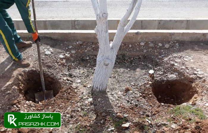 چالکود درختان میوه (کود مخصوص چالکود) 1 پاساژ کشاورز, پاساژ, کشاورز, بازار بزرگ کشاورزی, سایت نیازمندی کشاورزی, چالکود, چالکود چیست؟, چالکود درختان چیست, بهترین کود برای چالکود درختان + روش مصرف, زمان و روش چالکود درختان, همه چیز درباره روش و زمان مناسب چالکود درختان مختلف, آموزش اصول کامل چالکود درختان, صفر تا 100 چالکود اصولی در درختان میوه, مکان مناسب چالکود درختان و نحوه استفاده کودهای دامی, چالکود چیست ؟ زمان صحیح چالکود و نحوه صحیح چالکود, کود چالکود درخت میوه و مرکبات پالیز, همه چیز درباره چالکود (ویدیو + توضیحات کامل + خرید کود مناسب), فرمول چالکود, بهترین کود برای چالکود درختان میوه, بهترین زمان چالکود درختان, چالکود بهاره, فاصله چالکود از تنه درخت, کود مخصوص چالکود زمستانه, چالکود درخت انگور, کود چالکود دیجی کالا