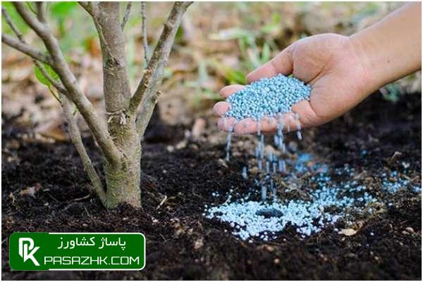 پاساژ کشاورز, پاساژ, کشاورز, بازار بزرگ کشاورزی, سایت نیازمندی کشاورزی, چالکود, چالکود چیست؟, چالکود درختان چیست, بهترین کود برای چالکود درختان + روش مصرف, زمان و روش چالکود درختان, همه چیز درباره روش و زمان مناسب چالکود درختان مختلف, آموزش اصول کامل چالکود درختان, صفر تا 100 چالکود اصولی در درختان میوه, مکان مناسب چالکود درختان و نحوه استفاده کودهای دامی, چالکود چیست ؟ زمان صحیح چالکود و نحوه صحیح چالکود, کود چالکود درخت میوه و مرکبات پالیز, همه چیز درباره چالکود (ویدیو + توضیحات کامل + خرید کود مناسب), فرمول چالکود, بهترین کود برای چالکود درختان میوه, بهترین زمان چالکود درختان, چالکود بهاره, فاصله چالکود از تنه درخت, کود مخصوص چالکود زمستانه, چالکود درخت انگور, کود چالکود دیجی کالا