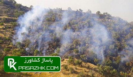 آتشسوزی جنگلهای خائیز کهگیلویه و بویراحمد مهار شد 1 d8a2d8aad8b4d8b3d988d8b2db8c d8acd986daafd984d987d8a7db8c d8aed8a7d8a6db8cd8b2 daa9d987daafdb8cd984d988db8cd987 d988 d8a8 66924e975a572, آتشسوزی جنگلهای خائیز کهگیلویه و بویراحمد مهار شد, پاساژ کشاورز | بازار بزرگ کشاورزی در ایران, اخبار پاساژ کشاورز, ,