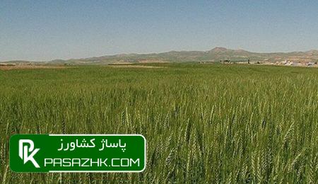 d8a7d8a8d8b1d9bed8b1d988da98d987 d8afdb8cd985d8b2d8a7d8b1d987d8a7 d8aad8a7 dbb5 d8b3d8a7d984 d8afdb8cdaafd8b1 d8aad985d8afdb8cd8af d8b4 668e36bec4279, ابرپروژه دیمزارها تا ۵ سال دیگر تمدید شود, پاساژ کشاورز | بازار بزرگ کشاورزی در ایران, اخبار پاساژ کشاورز, ,