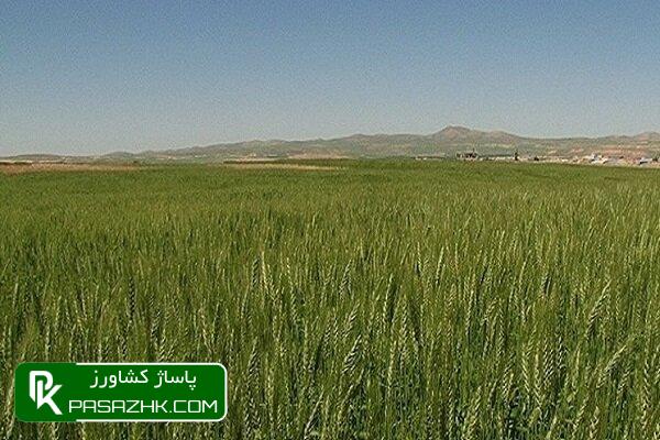 ابرپروژه دیمزارها تا ۵ سال دیگر تمدید شود 1 d8a7d8a8d8b1d9bed8b1d988da98d987 d8afdb8cd985d8b2d8a7d8b1d987d8a7 d8aad8a7 dbb5 d8b3d8a7d984 d8afdb8cdaafd8b1 d8aad985d8afdb8cd8af d8b4 668e36bec4279, ابرپروژه دیمزارها تا ۵ سال دیگر تمدید شود, پاساژ کشاورز | بازار بزرگ کشاورزی در ایران, اخبار پاساژ کشاورز, ,