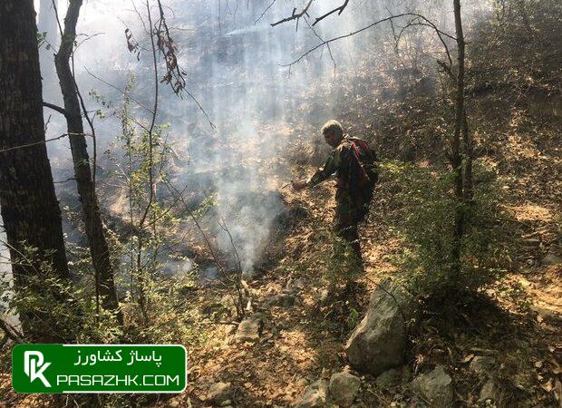 افزایش ۲۵۶ درصدی سطح آتشسوزیهای منابع طبیعی در سال جاری 1 d8a7d981d8b2d8a7db8cd8b4 dbb2dbb5dbb6 d8afd8b1d8b5d8afdb8c d8b3d8b7d8ad d8a2d8aad8b4d8b3d988d8b2db8cd987d8a7db8c d985d986 668d6dfbca43a, افزایش ۲۵۶ درصدی سطح آتشسوزیهای منابع طبیعی در سال جاری, پاساژ کشاورز | بازار بزرگ کشاورزی در ایران, اخبار پاساژ کشاورز, ,