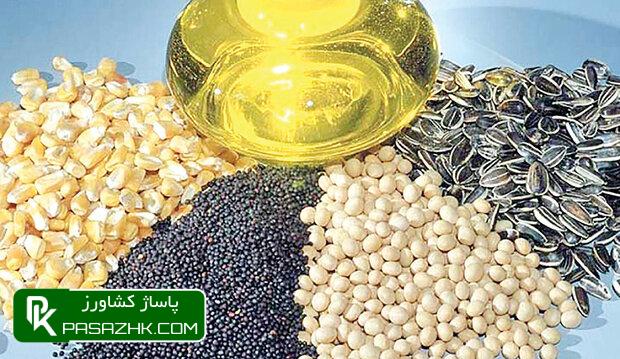 افزایش ۸۰ درصدی تولید کلزا در سال جاری 1 d8a7d981d8b2d8a7db8cd8b4 dbb8dbb0 d8afd8b1d8b5d8afdb8c d8aad988d984db8cd8af daa9d984d8b2d8a7 d8afd8b1 d8b3d8a7d984 d8acd8a7d8b1db8c 668d6df1e0779, افزایش ۸۰ درصدی تولید کلزا در سال جاری, پاساژ کشاورز | بازار بزرگ کشاورزی در ایران, اخبار پاساژ کشاورز, ,