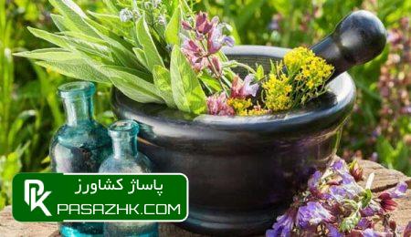 اهلیسازی بذور گیاهان دارویی در راستای توسعه صنعتی آن 2 d8a7d987d984db8cd8b3d8a7d8b2db8c d8a8d8b0d988d8b1 daafdb8cd8a7d987d8a7d986 d8afd8a7d8b1d988db8cdb8c d8afd8b1 d8b1d8a7d8b3d8aad8a7 669e80537d704, اهلیسازی بذور گیاهان دارویی در راستای توسعه صنعتی آن, پاساژ کشاورز | بازار بزرگ کشاورزی در ایران, اخبار پاساژ کشاورز, ,