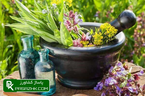 اهلیسازی بذور گیاهان دارویی در راستای توسعه صنعتی آن 1 d8a7d987d984db8cd8b3d8a7d8b2db8c d8a8d8b0d988d8b1 daafdb8cd8a7d987d8a7d986 d8afd8a7d8b1d988db8cdb8c d8afd8b1 d8b1d8a7d8b3d8aad8a7 669e80537d704, اهلیسازی بذور گیاهان دارویی در راستای توسعه صنعتی آن, پاساژ کشاورز | بازار بزرگ کشاورزی در ایران, اخبار پاساژ کشاورز, ,