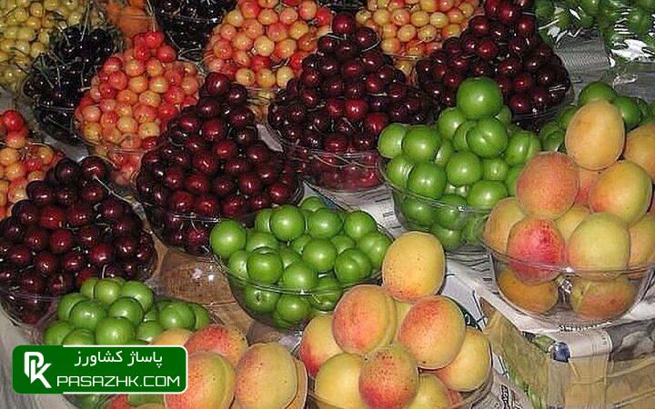 با گرانفروشان بازار میوه برخورد تعزیراتی میشود 1 d8a8d8a7 daafd8b1d8a7d986d981d8b1d988d8b4d8a7d986 d8a8d8a7d8b2d8a7d8b1 d985db8cd988d987 d8a8d8b1d8aed988d8b1d8af d8aad8b9d8b2db8c 66921dc61e8d7, با گرانفروشان بازار میوه برخورد تعزیراتی میشود, پاساژ کشاورز | بازار بزرگ کشاورزی در ایران, اخبار پاساژ کشاورز, ,