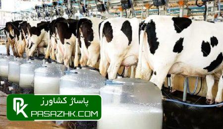 تورم نقطه به نقطه «شیر» در خردادماه ۵.۹ درصد ثبت شد 8 d8aad988d8b1d985 d986d982d8b7d987 d8a8d987 d986d982d8b7d987 d8b4db8cd8b1 d8afd8b1 d8aed8b1d8afd8a7d8afd985d8a7d987 dbb5 dbb9 6697a2afa4ca6, تورم نقطه به نقطه «شیر» در خردادماه ۵.۹ درصد ثبت شد, پاساژ کشاورز | بازار بزرگ کشاورزی در ایران, اخبار پاساژ کشاورز, ,