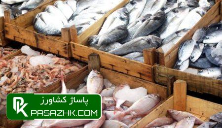دردسرهای تولیدکنندگان آبزیان با افزایش دما 9 d8afd8b1d8afd8b3d8b1d987d8a7db8c d8aad988d984db8cd8afdaa9d986d986d8afdaafd8a7d986 d8a2d8a8d8b2db8cd8a7d986 d8a8d8a7 d8a7d981d8b2d8a7 669f927fab476, دردسرهای تولیدکنندگان آبزیان با افزایش دما, پاساژ کشاورز | بازار بزرگ کشاورزی در ایران, اخبار پاساژ کشاورز, ,
