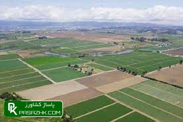 d8b1d981d8b9 d8aad8afd8a7d8aed984d8a7d8aa d8a7d8b1d8a7d8b6db8c daa9d8b4d8a7d988d8b1d8b2db8c d8a8d8a7db8cd8af d8a8d987 d8b5d988d8b1d8aa 668d6de8b256a, رفع تداخلات اراضی کشاورزی باید به صورت پلاک‌محور صورت گیرد, پاساژ کشاورز | بازار بزرگ کشاورزی در ایران, اخبار پاساژ کشاورز, ,