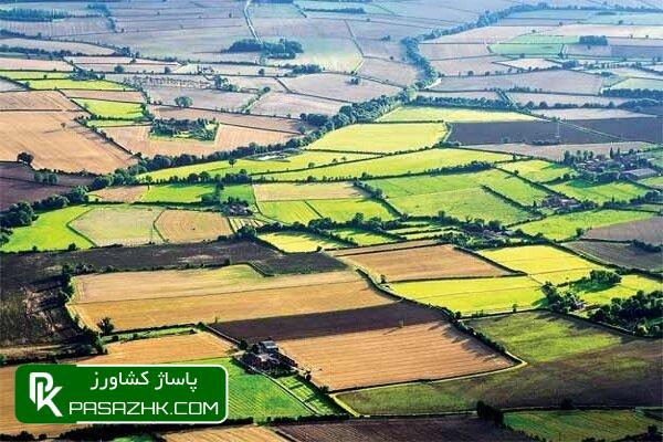 سازمان امور اراضی دوباره مسوول تهیه کاداستر زمینهای کشاورزی شد 1 d8b3d8a7d8b2d985d8a7d986 d8a7d985d988d8b1 d8a7d8b1d8a7d8b6db8c d8afd988d8a8d8a7d8b1d987 d985d8b3d988d988d984 d8aad987db8cd987 daa9d8a7 669faf29e302c, سازمان امور اراضی دوباره مسوول تهیه کاداستر زمینهای کشاورزی شد, پاساژ کشاورز | بازار بزرگ کشاورزی در ایران, اخبار پاساژ کشاورز, ,