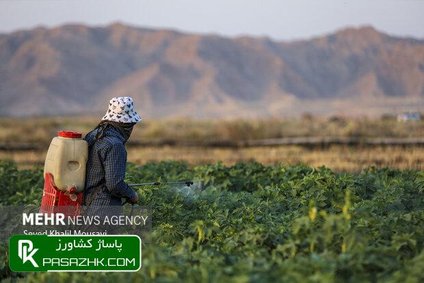 لزوم تامین بیش از ۱۴۰ همت اعتبار برای اجرای طرح های آب و خاک 1 d984d8b2d988d985 d8aad8a7d985db8cd986 d8a8db8cd8b4 d8a7d8b2 dbb1dbb4dbb0 d987d985d8aa d8a7d8b9d8aad8a8d8a7d8b1 d8a8d8b1d8a7db8c d8a7d8ac 668d6dde84e5a, لزوم تامین بیش از ۱۴۰ همت اعتبار برای اجرای طرح های آب و خاک, پاساژ کشاورز | بازار بزرگ کشاورزی در ایران, اخبار پاساژ کشاورز, ,