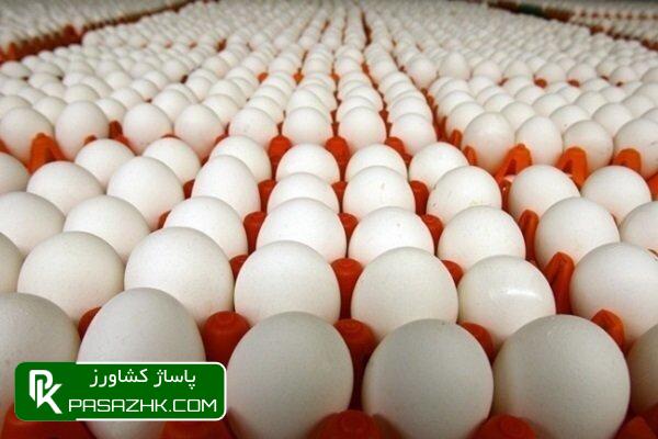 d985d8a7d987d8a7d986d987 dbb1dbb0dbb5 d8aad8a7 dbb1dbb0dbb7 d987d8b2d8a7d8b1 d8aad986 d8aad8aed985d985d8b1d8ba d8afd8b1 daa9d8b4 6683a3c0092ee, ماهانه ۱۰۵ تا ۱۰۷ هزار تن تخم‌مرغ در کشور تولید می‌شود, پاساژ کشاورز | بازار بزرگ کشاورزی در ایران, اخبار پاساژ کشاورز, ,